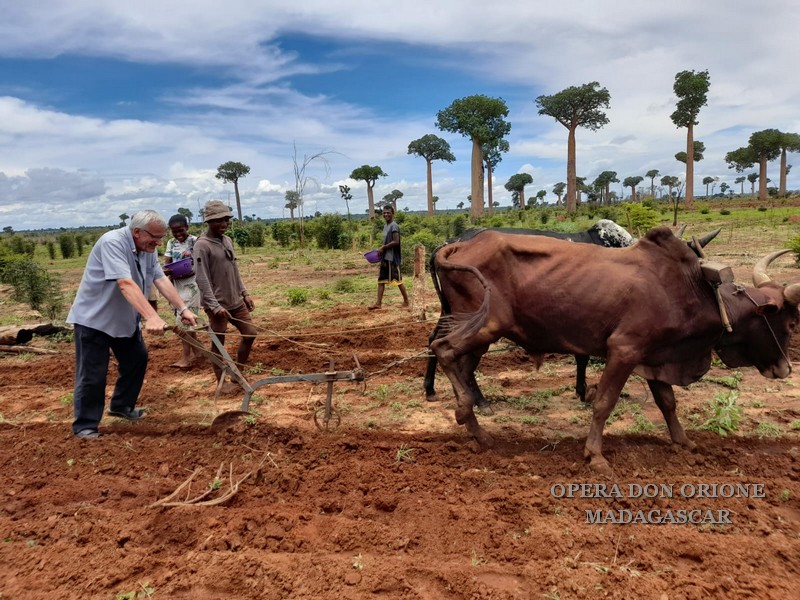 Madagascar: Il futuro inizia da una buona semina -  23984