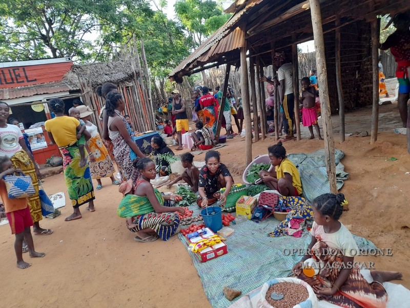 Madagascar: Il futuro inizia da una buona semina -  23986