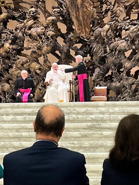 Roma: La formazione professionale incontra Papa Francesco -  24410