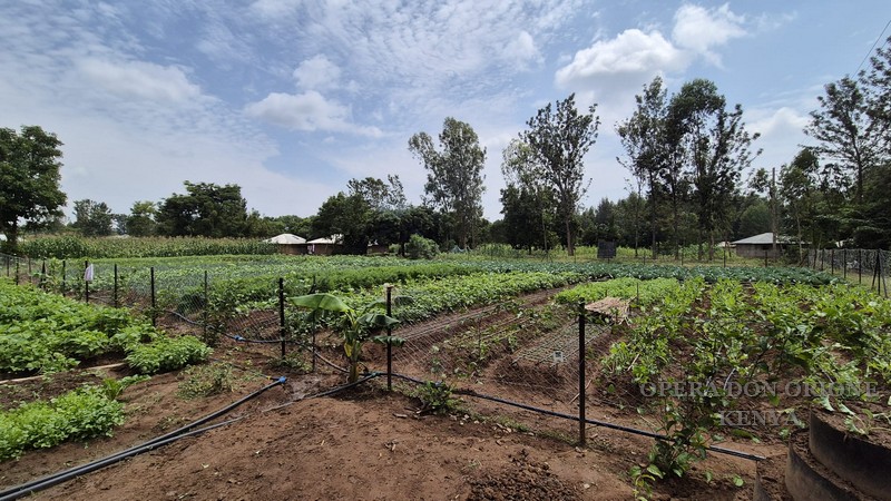 Kenya: 