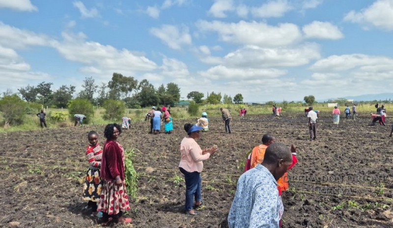 Kenya: 
