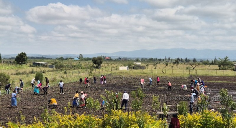 Kenya: 