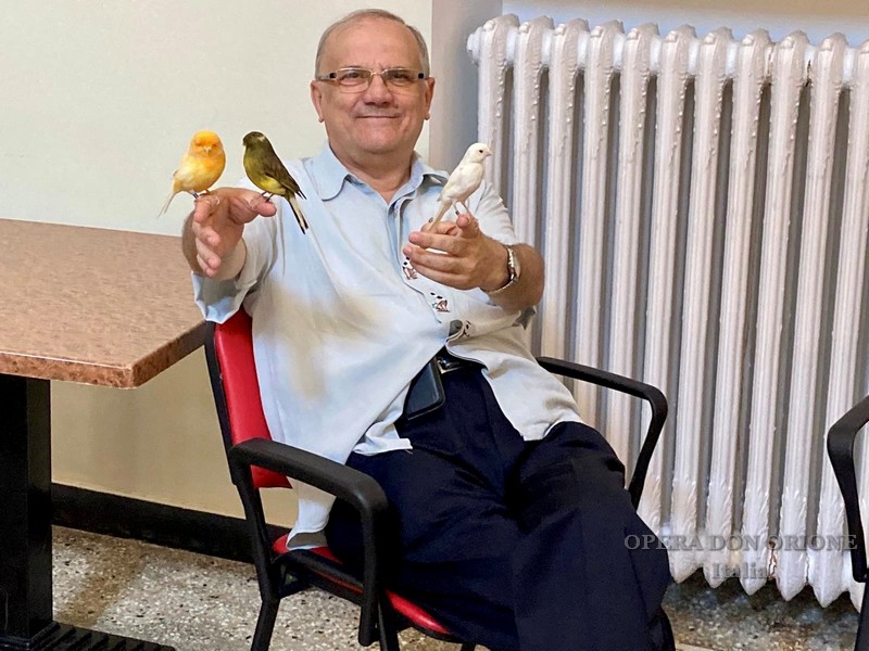 Genova: A battito d'ali, un canarino per amico -  25067