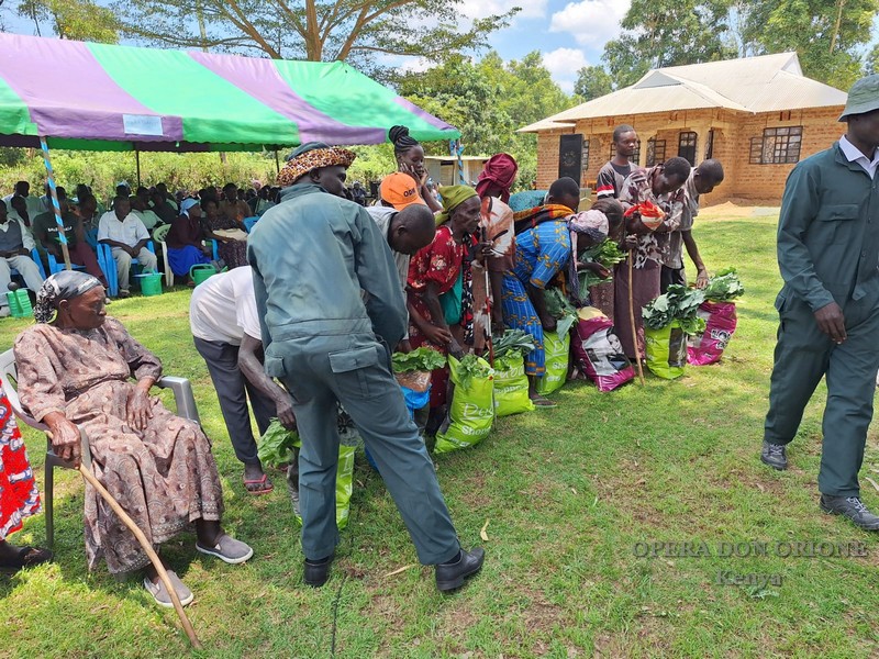 Kenya: I frutti del progetto agricolo di Nyadorera -  25200