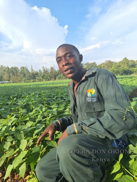Kenya: I frutti del progetto agricolo di Nyadorera -  25202