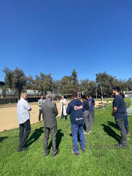 Un nuovo Campus Sportivo per la Scuola Don Orione di Santiago del Cile -  25663