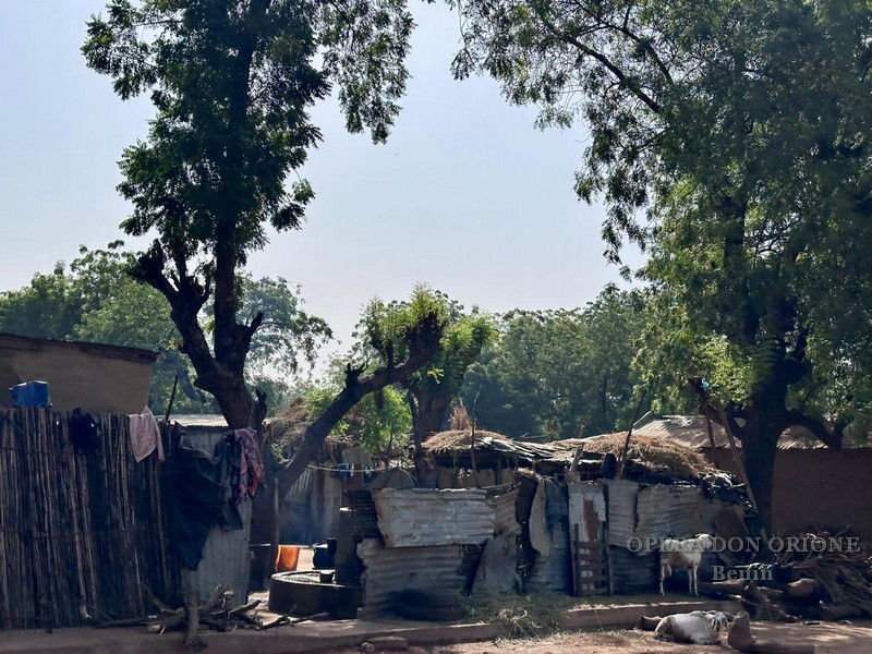 Conclusa la seconda tappa della Visita Canonica Generale in Benin -  25813