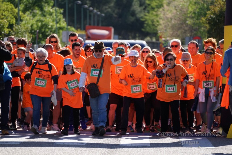 Spagna: In 400 hanno partecipato alla “Corsa Inclusiva” organizzata dalla Fundación Luis Orione -  27083