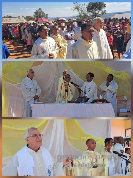 Madagascar: L'ordinazione sacerdotale di Don Jean Guy Randrianjakarivo a Antsirabé -  27861