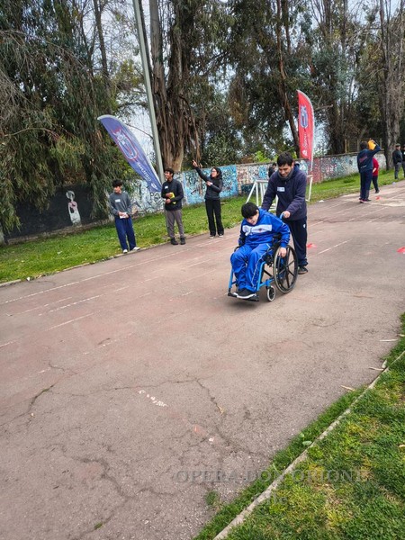 Cile: Le Olimpiadi Inclusive “Padre Limonta” presso il Collegio Don Orione di Santiago -  28498