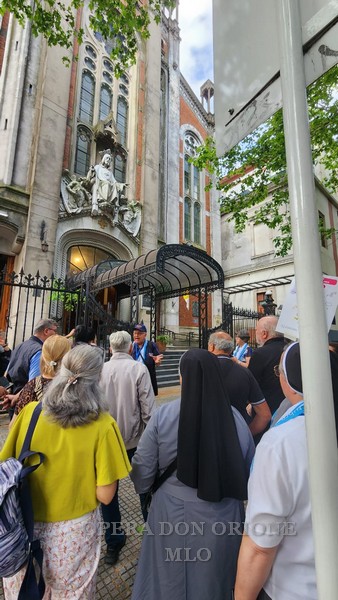 MLO: Rinnovamento e continuità per il prossimo triennio  -  28508