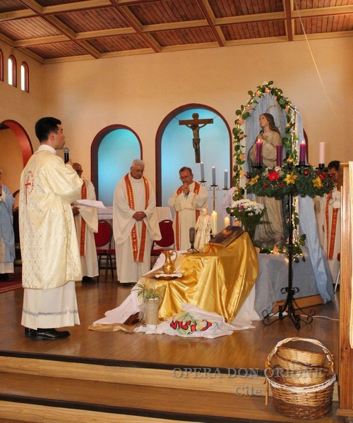   Cile: L'ordinazione diaconale di Sebastián Vega Selaive a Santiago del Cile. -  29089