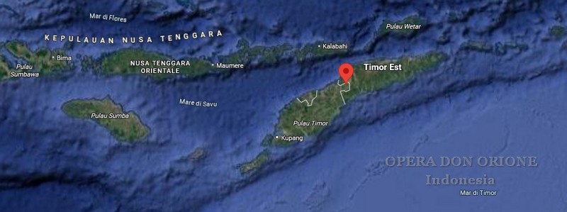 Indonesia - A Haekesak la professione perpetua delle prime suore orionine indonesiane -  29291