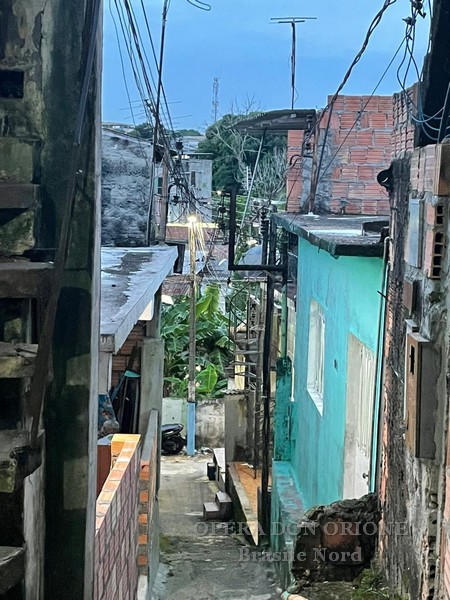 Un orionino cileno in Amazzonia. L'esperienza missionaria del chierico Javier Navarrete -  29334