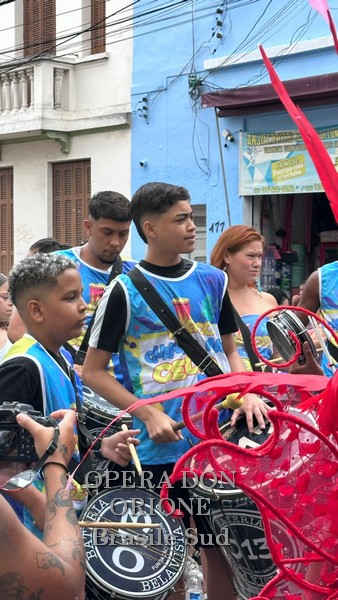 Brasile Sud - La sfilata del CEDO al carnevale di San Paolo -  29514