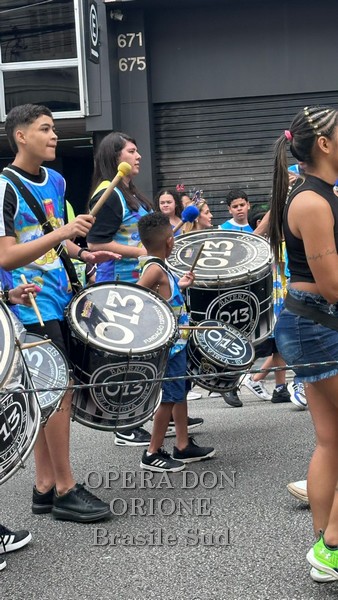 Brasile Sud - La sfilata del CEDO al carnevale di San Paolo -  29517