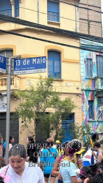 Brasile Sud - La sfilata del CEDO al carnevale di San Paolo -  29520