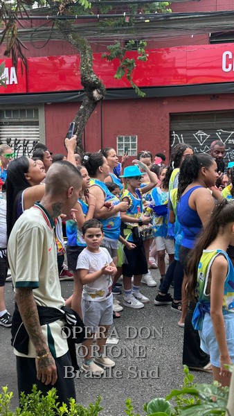Brasile Sud - La sfilata del CEDO al carnevale di San Paolo -  29526