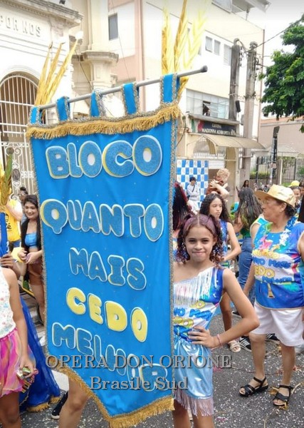 Brasile Sud - La sfilata del CEDO al carnevale di San Paolo -  29527