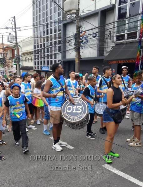Brasile Sud - La sfilata del CEDO al carnevale di San Paolo -  29528