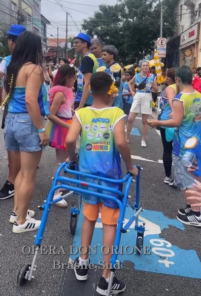 Brasile Sud - La sfilata del CEDO al carnevale di San Paolo -  29529