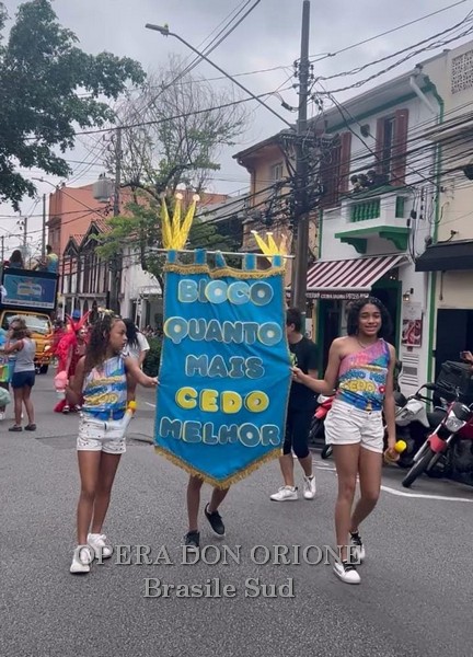 Brasile Sud - La sfilata del CEDO al carnevale di San Paolo -  29532