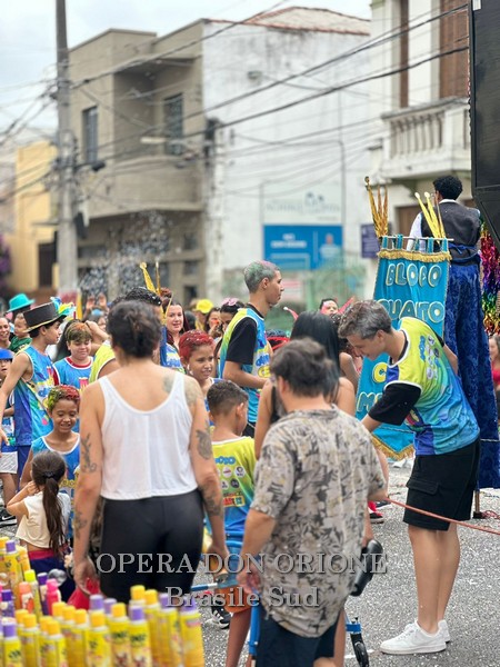 Brasile Sud - La sfilata del CEDO al carnevale di San Paolo -  29533