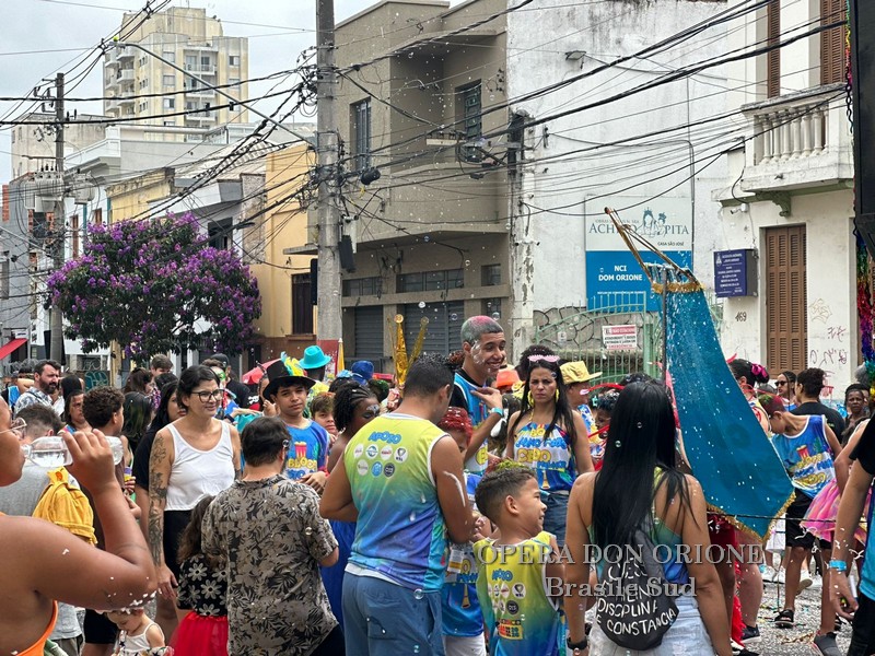 Brasile Sud - La sfilata del CEDO al carnevale di San Paolo -  29534