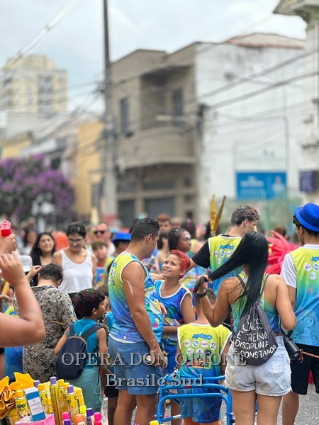 Brasile Sud - La sfilata del CEDO al carnevale di San Paolo -  29535