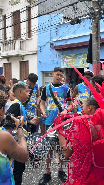 Brasile Sud - La sfilata del CEDO al carnevale di San Paolo -  29536