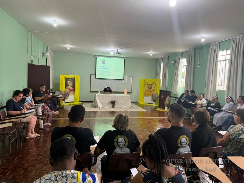 Brasile Sud - Pastorale Vocazionale Orionina in Azione! -  29594