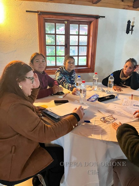 Cile – Si è svolto a Los Ángeles l'Incontro degli Educatori orionini 2026 -  30019