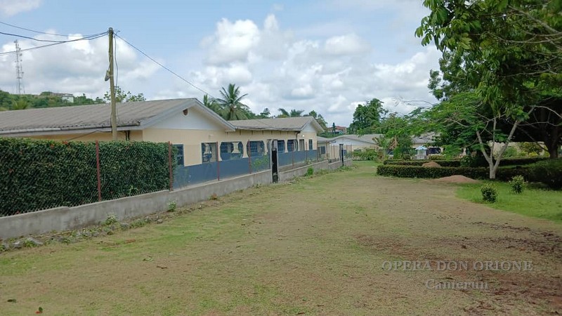 Camerun – La Casa della Carità Don Orione a Edéa  -  30418