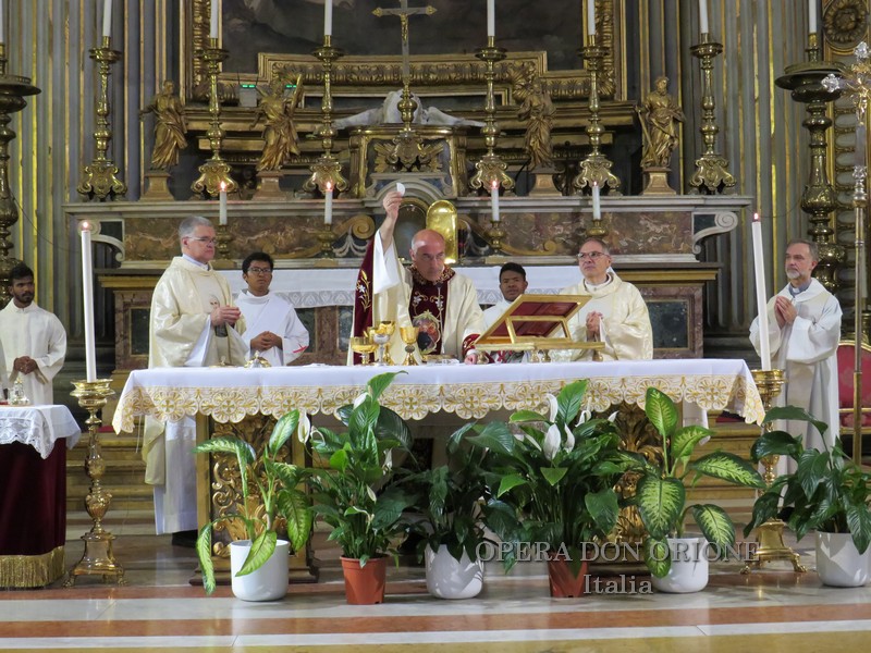 Messa in onore di San Luigi Gonzaga: continuità carismatica e richiamo alla quotidiana sfida della santità -  30514